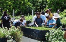 School for the Deaf visits green roof garden